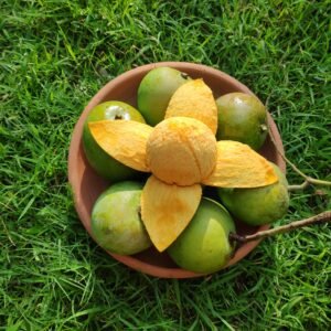 soothing sunscreen gel